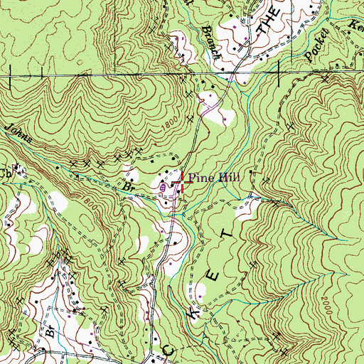 Topographic Map of Pine Hill, TN