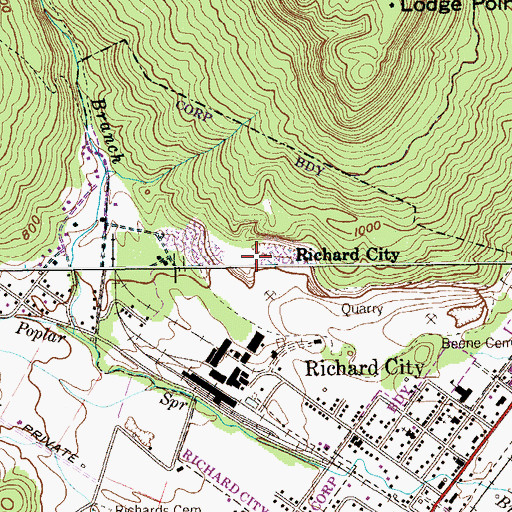 Topographic Map of Richard City Quarry, TN