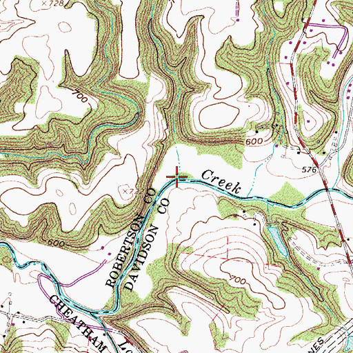 Topographic Map of Redding Branch, TN