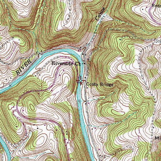 Topographic Map of Cosby Ford, TN