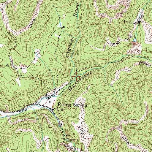 Topographic Map of Pigeon Roost Hollow, TN