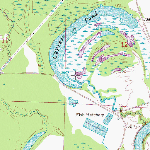 Topographic Map of Big Cypress Lake Dam, AL