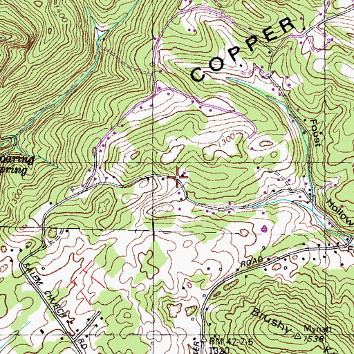 Topographic Map of Sumter Hills, TN