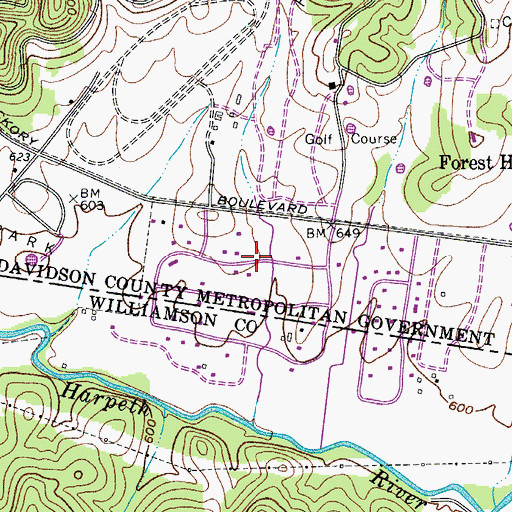 Topographic Map of Iroquois Meadows, TN