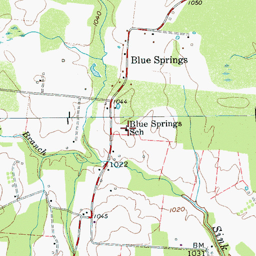Topographic Map of Blue Springs School, TN