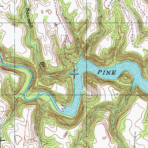 Topographic Map of Sawmill Branch, TN