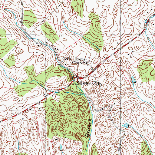 Topographic Map of Silver City, TN