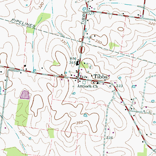 Topographic Map of Tibbs, TN