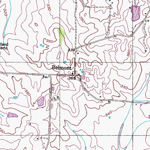 Topographic Map of Belmont, TN
