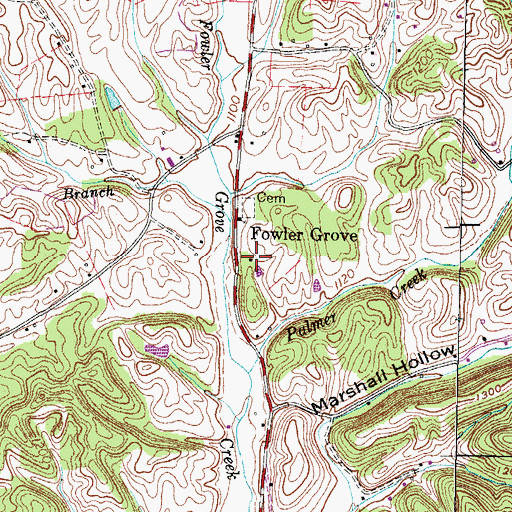 Topographic Map of Fowler Grove, TN