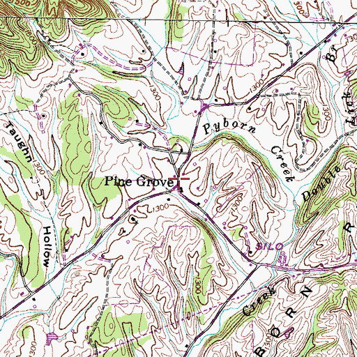 Topographic Map of Pine Grove, TN