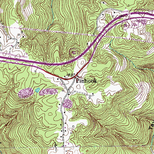 Topographic Map of Pinhook, TN