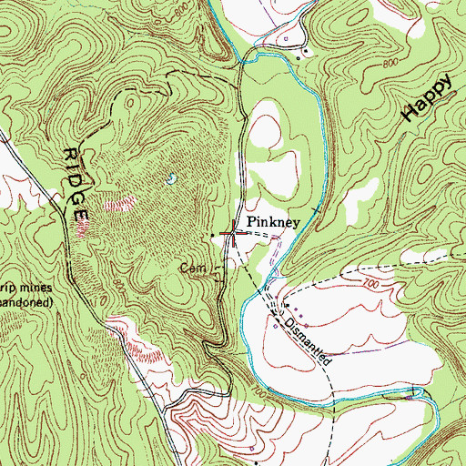 Topographic Map of Pinkney, TN