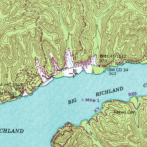Topographic Map of Masons Dock, TN