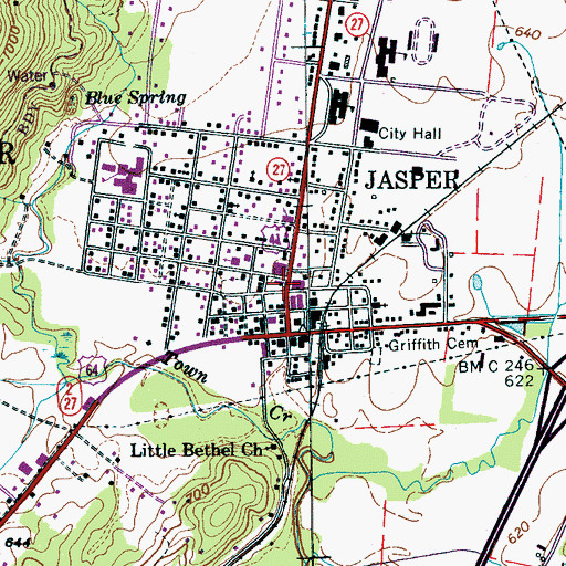 Topographic Map of Jasper Public Library, TN