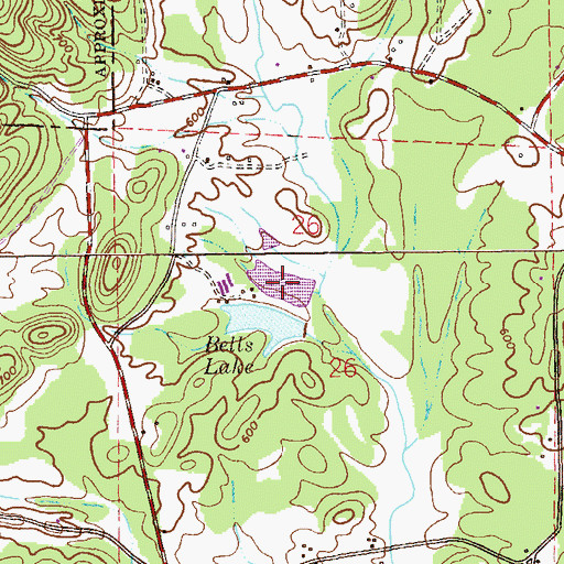 Topographic Map of Big Oak Lake, AL