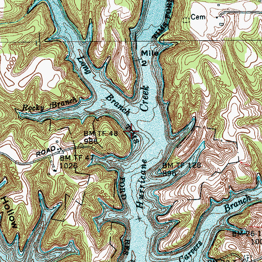 Topographic Map of Shasteens Mill (historical), TN