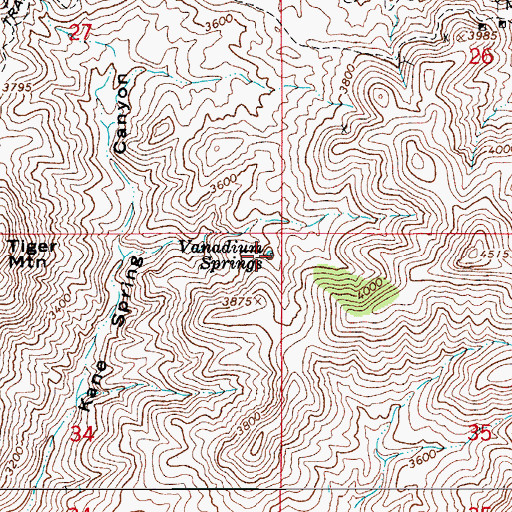 Topographic Map of Vanadium Springs, AZ