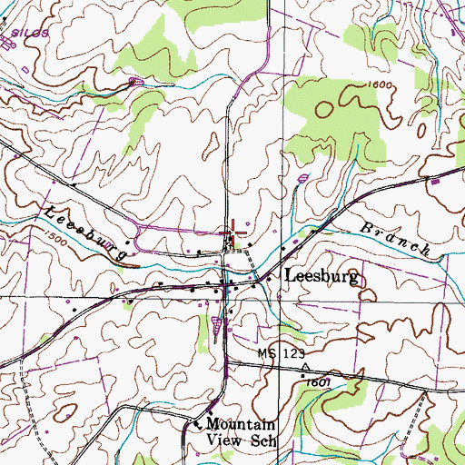 Topographic Map of Leesburg Presbyterian Church, TN