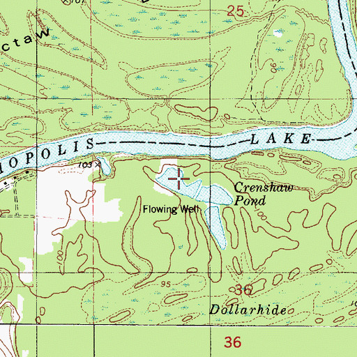 Topographic Map of Crenshaw Pond, AL