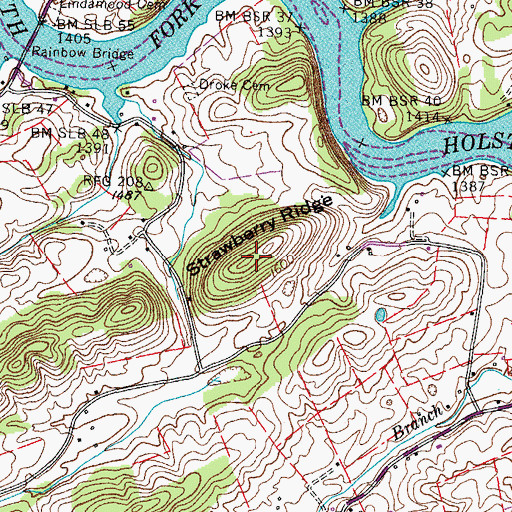 Topographic Map of Strawberry Top, TN