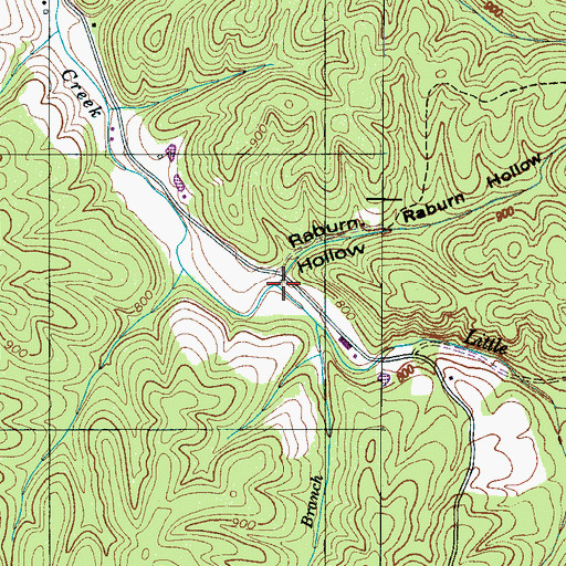 Topographic Map of Raburn Hollow, TN