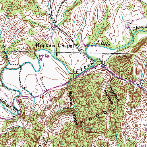 Topographic Map of Bower Hollow, TN