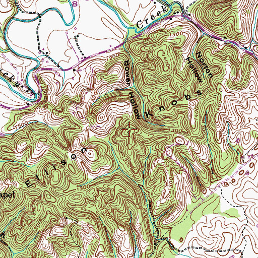 Topographic Map of Ellison Knob, TN
