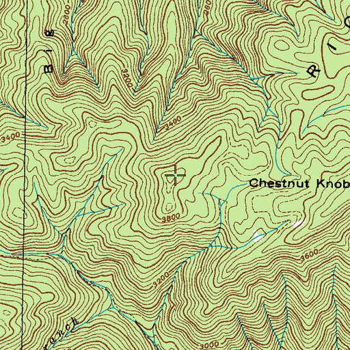 Topographic Map of Rich Mountain, TN
