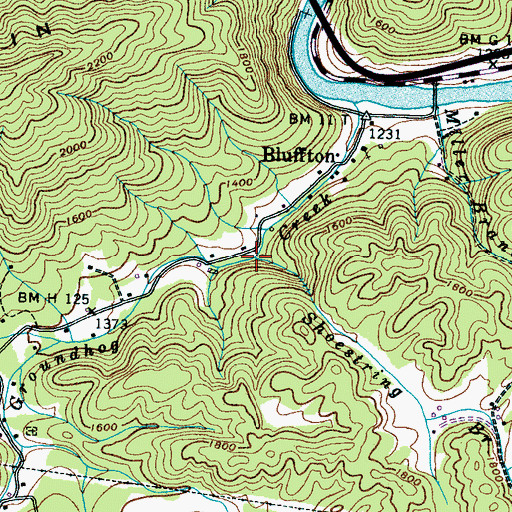 Topographic Map of Shoestring Branch, TN