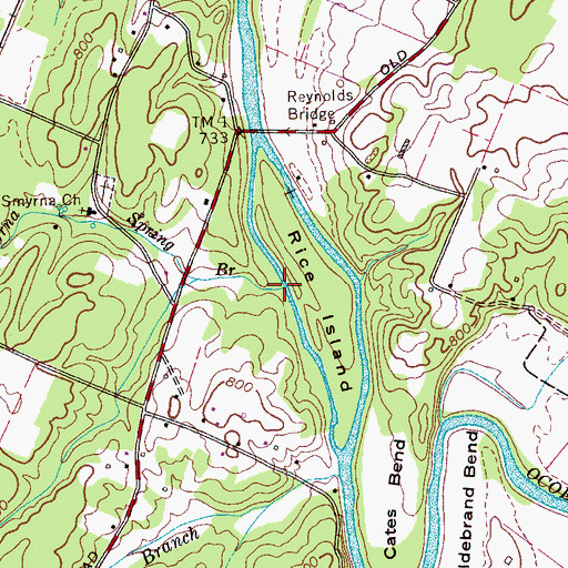 Topographic Map of Smyrna Spring Branch, TN
