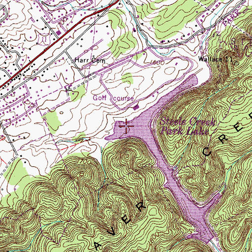 Topographic Map of Steele Creek Park Lake, TN