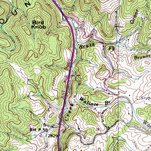 Topographic Map of Wallace Branch, TN