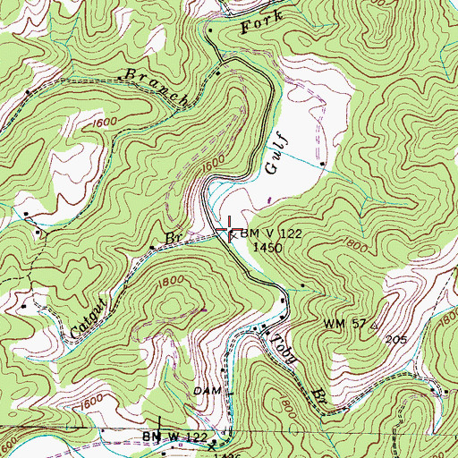 Topographic Map of Catgut Branch, TN