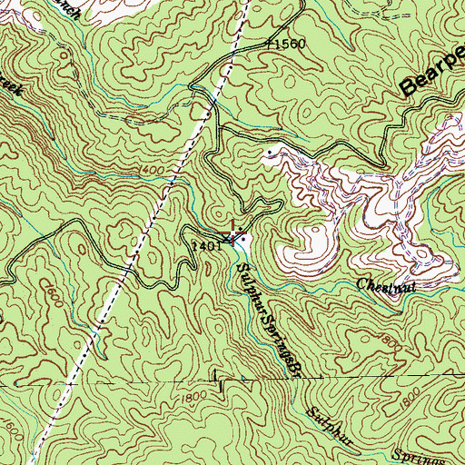 Topographic Map of Chestnut Gap Branch, TN