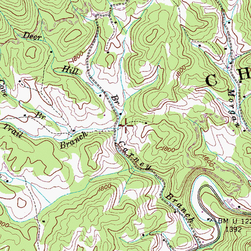 Topographic Map of Fine Trail Branch, TN