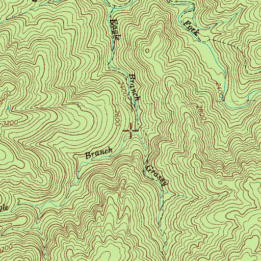 Topographic Map of Grassy Branch, TN