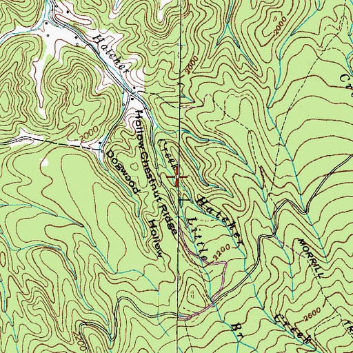 Topographic Map of Little Branch, TN