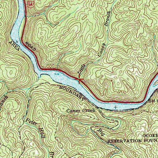 Topographic Map of Little Caney Branch, TN