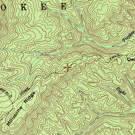 Topographic Map of Oswald Dome Trail, TN