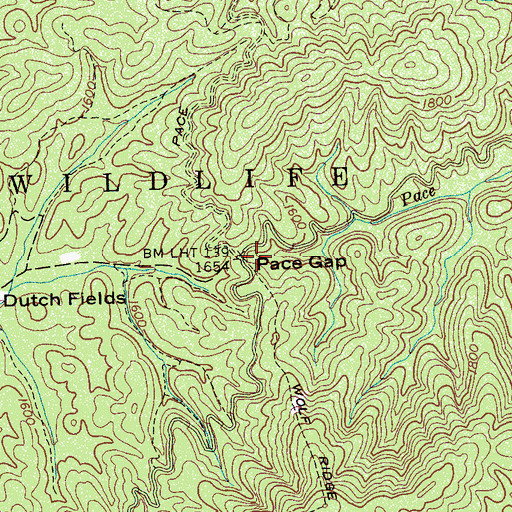 Topographic Map of Pace Gap, TN