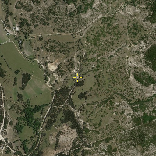 Aerial/Satellite Image of Bishop Hollow, TX