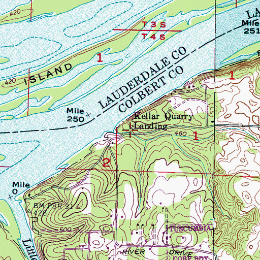 Topographic Map of Keller Quarry, AL