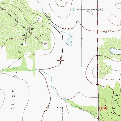 Topographic Map of Alice Oil Field, TX