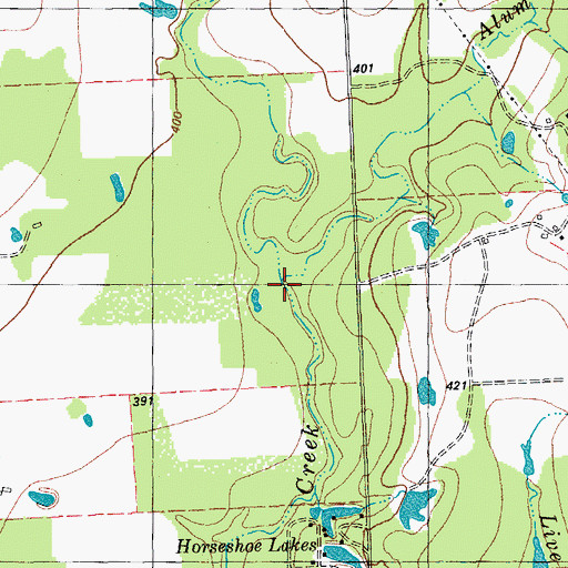 Topographic Map of Alum Branch, TX