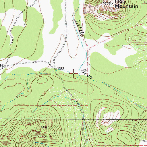 Topographic Map of Armadillo Hollow, TX