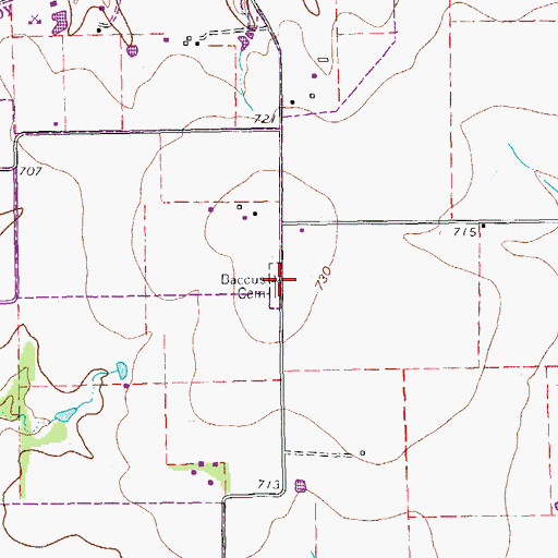 Topographic Map of Baccus Cemetery, TX