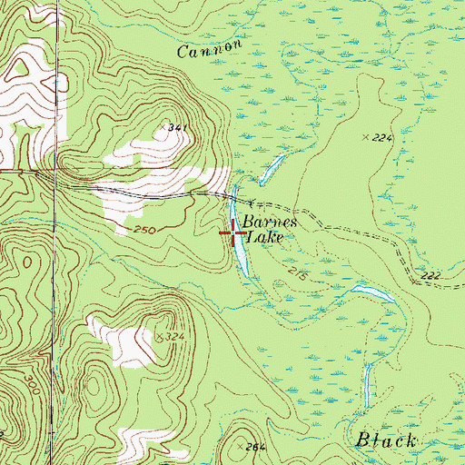 Topographic Map of Barnes Lake, TX