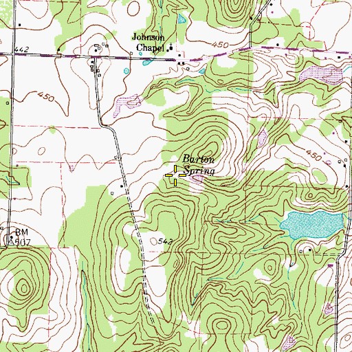 Topographic Map of Barton Spring, TX