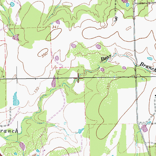 Topographic Map of Bear Branch, TX